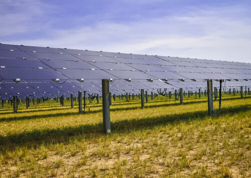 Mavericks Solar Farm