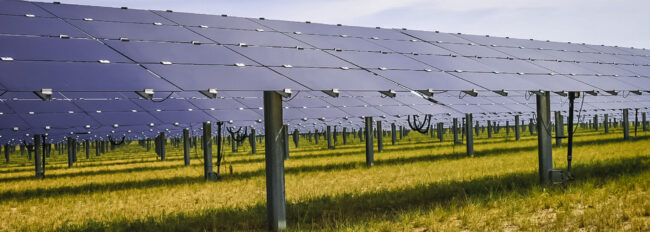 Mavericks Solar Farm