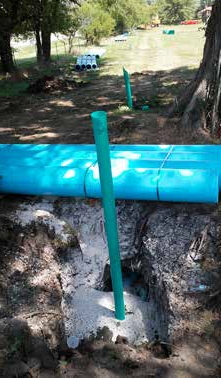 Pipe bore under tree